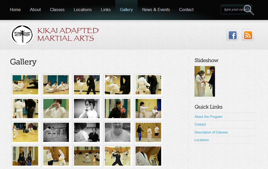 Martial Arts website design